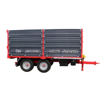 10 TON TANDEM DNGL